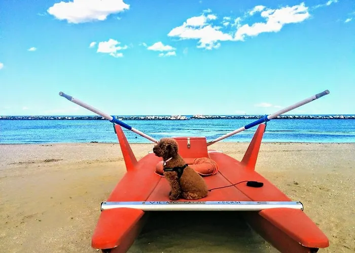 Cima 아파트호텔 3*